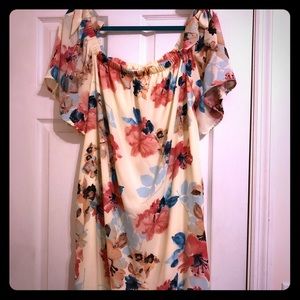 BEAUTIFUL Pink Blush Dress XL NWT